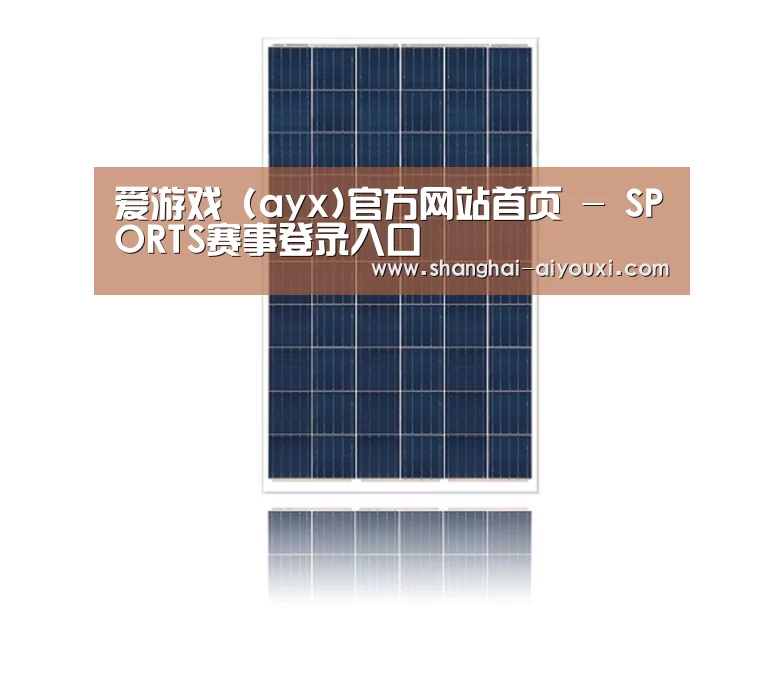 产品名称一
