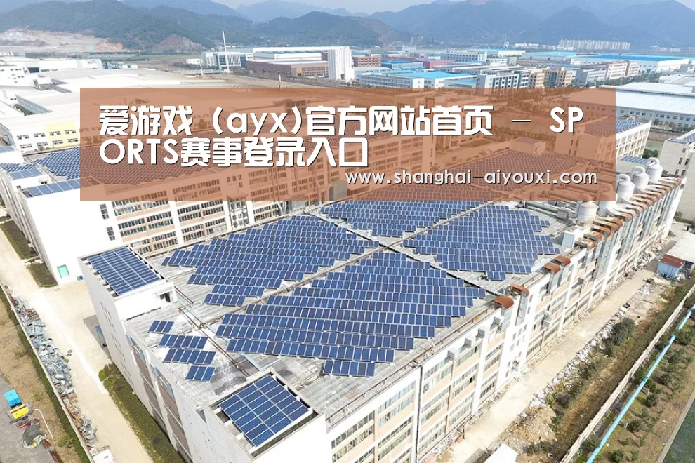 案例展示三