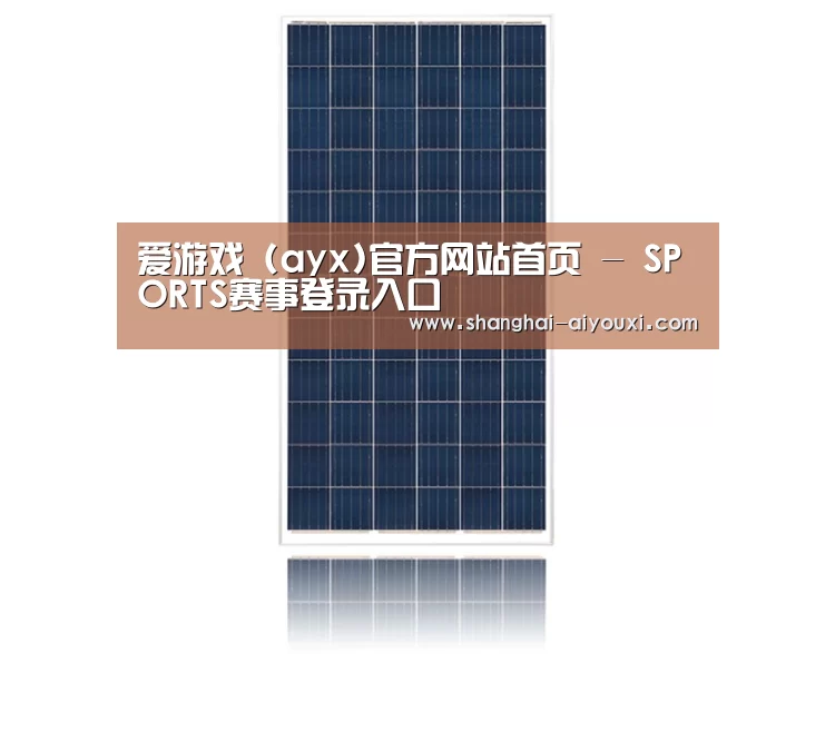 产品名称一