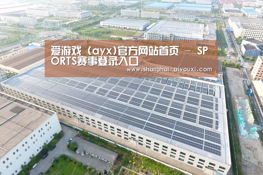 案例展示二