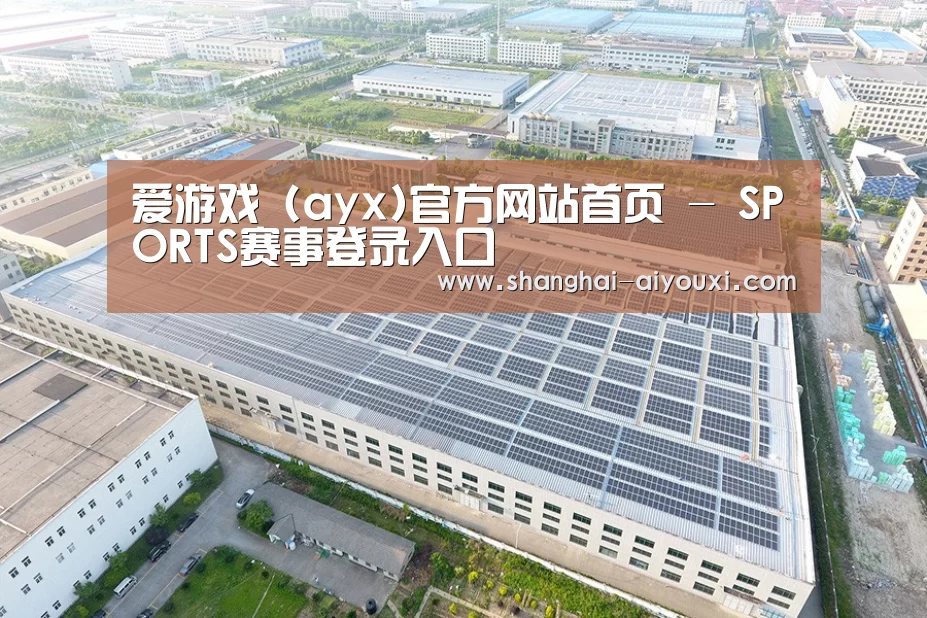 案例展示三