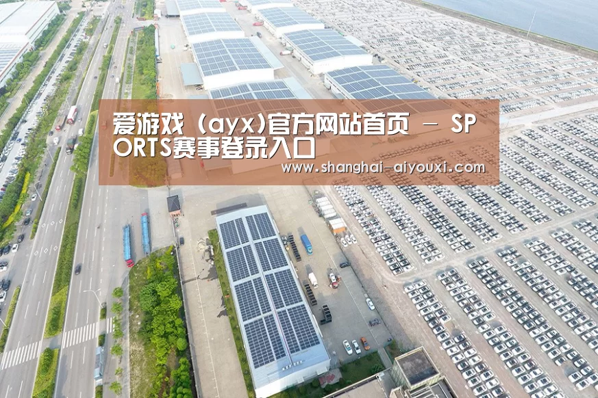案例展示一