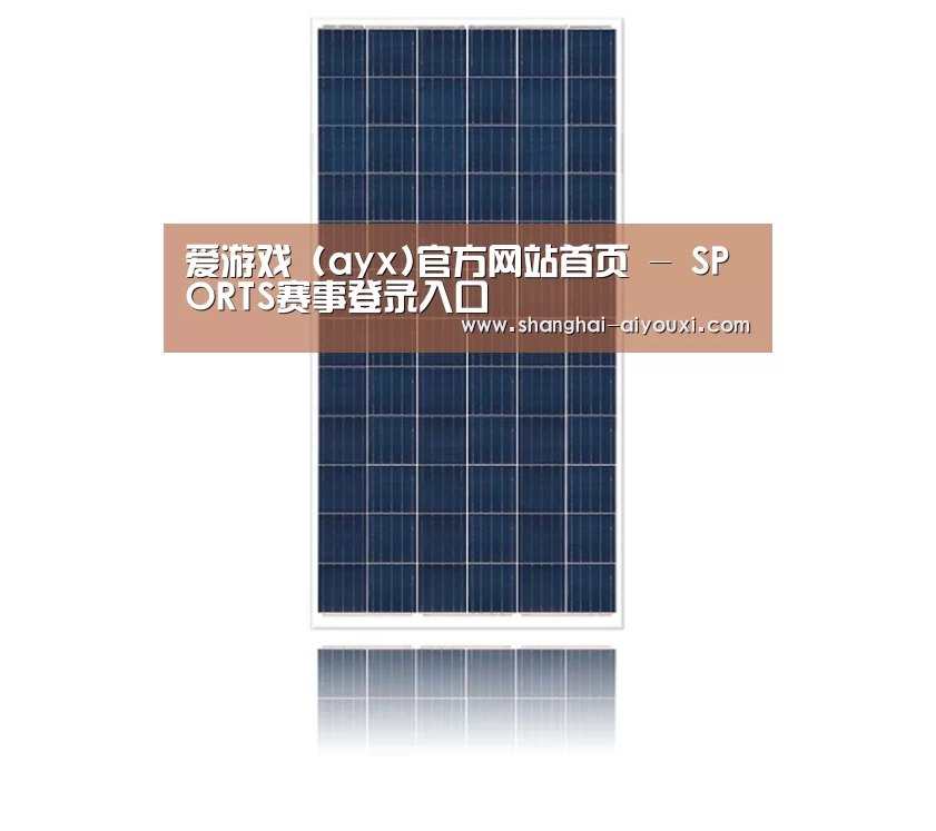 产品名称一