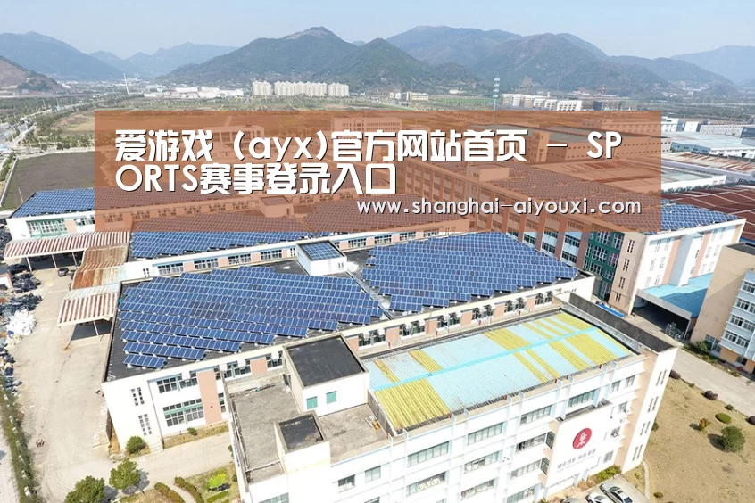 案例展示三