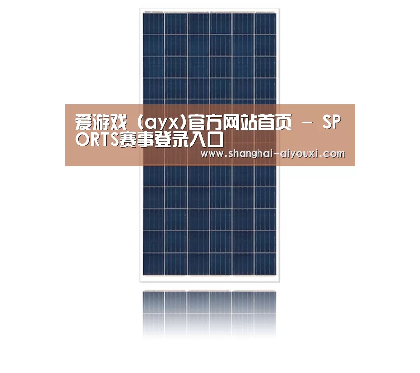 产品名称四