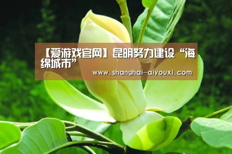 爱游戏官网