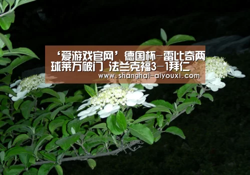 ‘爱游戏官网’德国杯-雷比奇两球莱万破门 法兰克福3-1拜仁夺冠(图1) 爱游戏