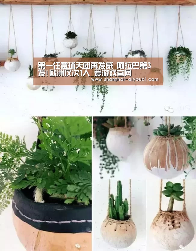 爱游戏