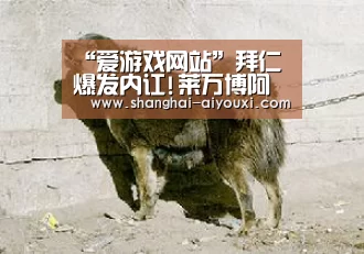 “爱游戏网站”拜仁爆发内讧!莱万博阿滕险些互殴 拉姆瓜帅劝阻(图1) 爱游戏网站